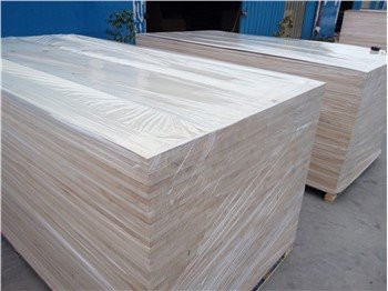 Paulownia koka sienas plaukti